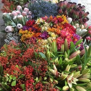 Meet your Posher, Shaun